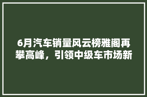 6月汽车销量风云榜雅阁再攀高峰，引领中级车市场新潮流
