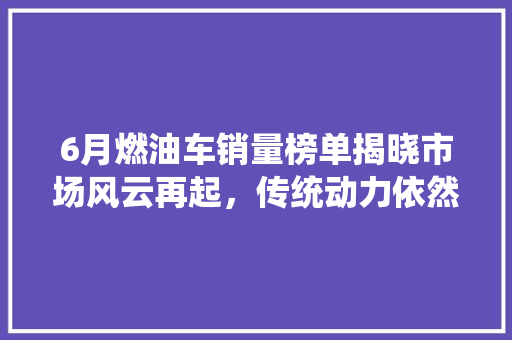 6月燃油车销量榜单揭晓市场风云再起，传统动力依然强劲