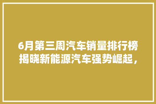 6月第三周汽车销量排行榜揭晓新能源汽车强势崛起，传统车企面临挑战  第1张