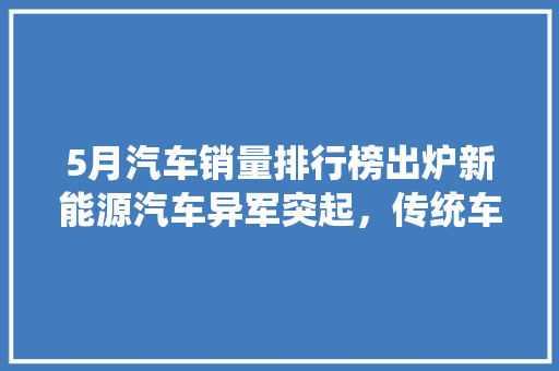 5月汽车销量排行榜出炉新能源汽车异军突起，传统车企面临挑战