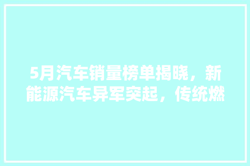 5月汽车销量榜单揭晓，新能源汽车异军突起，传统燃油车面临挑战