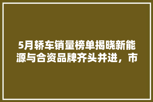5月轿车销量榜单揭晓新能源与合资品牌齐头并进，市场格局再起波澜