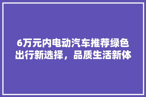 6万元内电动汽车推荐绿色出行新选择，品质生活新体验
