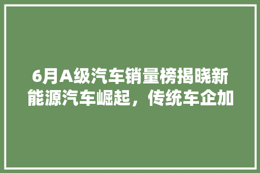 6月A级汽车销量榜揭晓新能源汽车崛起，传统车企加速转型