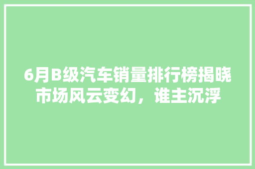 6月B级汽车销量排行榜揭晓市场风云变幻，谁主沉浮