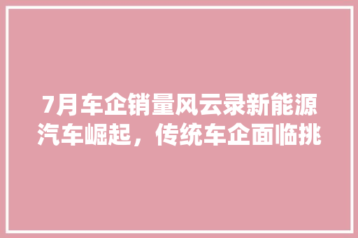 7月车企销量风云录新能源汽车崛起，传统车企面临挑战