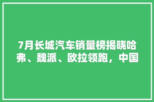 7月长城汽车销量榜揭晓哈弗、魏派、欧拉领跑，中国品牌汽车再创新高