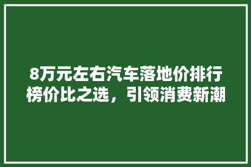 8万元左右汽车落地价排行榜价比之选，引领消费新潮流  第1张