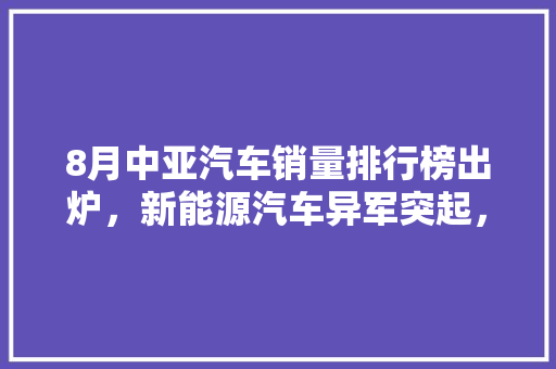 8月中亚汽车销量排行榜出炉，新能源汽车异军突起，市场格局再掀风云