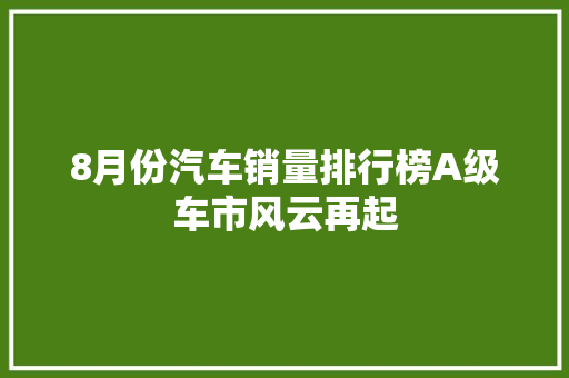 8月份汽车销量排行榜A级车市风云再起  第1张