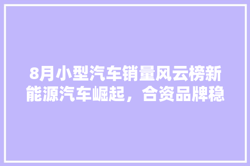 8月小型汽车销量风云榜新能源汽车崛起，合资品牌稳居前列