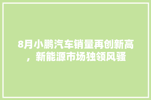 8月小鹏汽车销量再创新高，新能源市场独领风骚