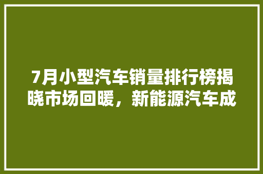 7月小型汽车销量排行榜揭晓市场回暖，新能源汽车成新宠