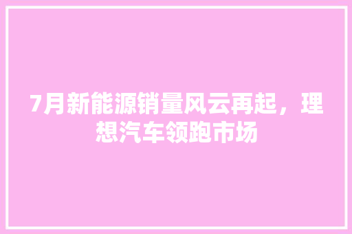 7月新能源销量风云再起，理想汽车领跑市场