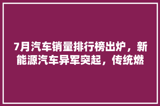 7月汽车销量排行榜出炉，新能源汽车异军突起，传统燃油车面临挑战
