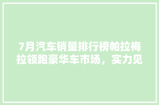 7月汽车销量排行榜帕拉梅拉领跑豪华车市场，实力见证品质魅力