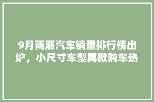 9月两厢汽车销量排行榜出炉，小尺寸车型再掀购车热潮