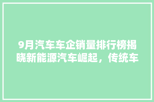 9月汽车车企销量排行榜揭晓新能源汽车崛起，传统车企面临挑战  第1张