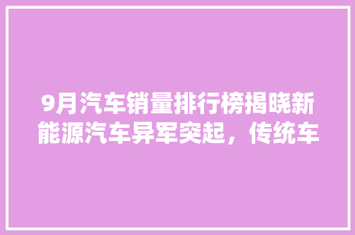 9月汽车销量排行榜揭晓新能源汽车异军突起，传统车企面临挑战  第1张