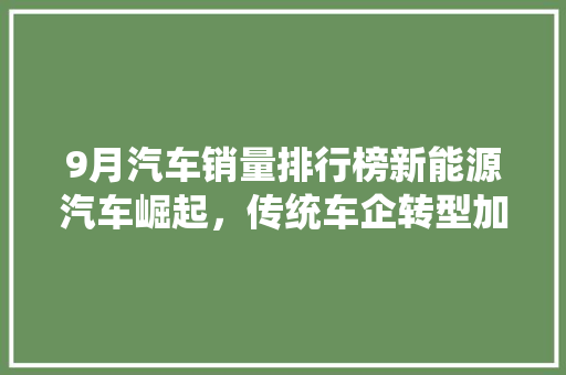 9月汽车销量排行榜新能源汽车崛起，传统车企转型加速  第1张