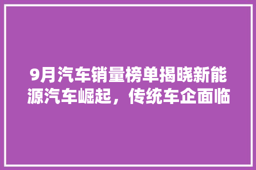 9月汽车销量榜单揭晓新能源汽车崛起，传统车企面临挑战  第1张