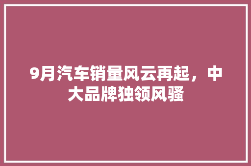 9月汽车销量风云再起，中大品牌独领风骚