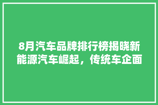 8月汽车品牌排行榜揭晓新能源汽车崛起，传统车企面临挑战  第1张