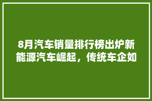 8月汽车销量排行榜出炉新能源汽车崛起，传统车企如何应对  第1张