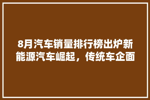 8月汽车销量排行榜出炉新能源汽车崛起，传统车企面临挑战  第1张
