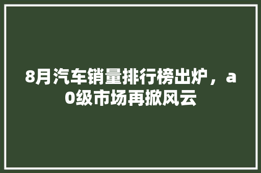 8月汽车销量排行榜出炉，a0级市场再掀风云  第1张