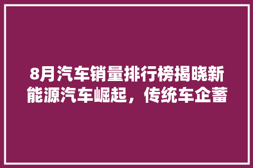 8月汽车销量排行榜揭晓新能源汽车崛起，传统车企蓄势待发  第1张