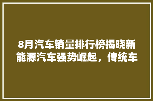 8月汽车销量排行榜揭晓新能源汽车强势崛起，传统车企面临挑战  第1张