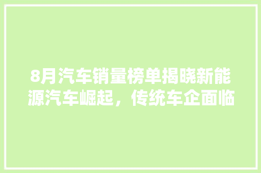 8月汽车销量榜单揭晓新能源汽车崛起，传统车企面临挑战  第1张