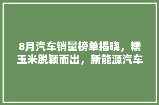 8月汽车销量榜单揭晓，糯玉米脱颖而出，新能源汽车市场再掀热潮  第1张