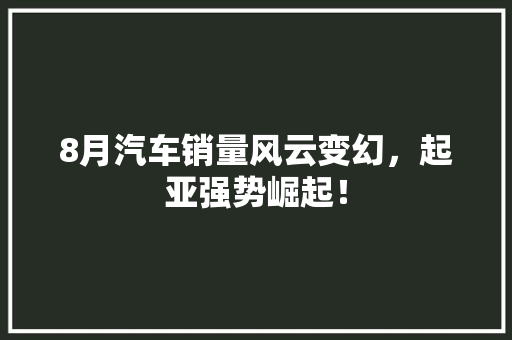 8月汽车销量风云变幻，起亚强势崛起！  第1张