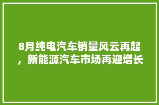 8月纯电汽车销量风云再起，新能源汽车市场再迎增长高峰