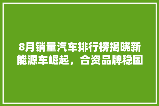 8月销量汽车排行榜揭晓新能源车崛起，合资品牌稳固地位  第1张