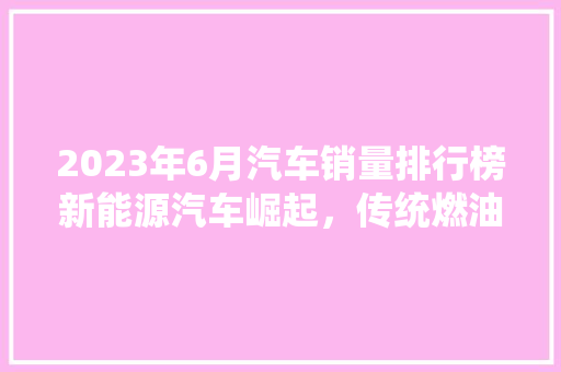 2023年6月汽车销量排行榜新能源汽车崛起，传统燃油车市场承压