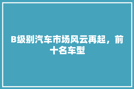 B级别汽车市场风云再起，前十名车型