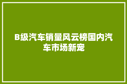 B级汽车销量风云榜国内汽车市场新宠