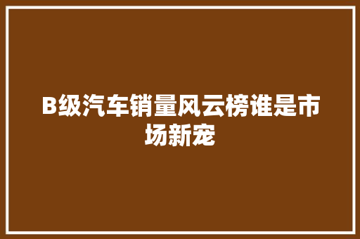 B级汽车销量风云榜谁是市场新宠