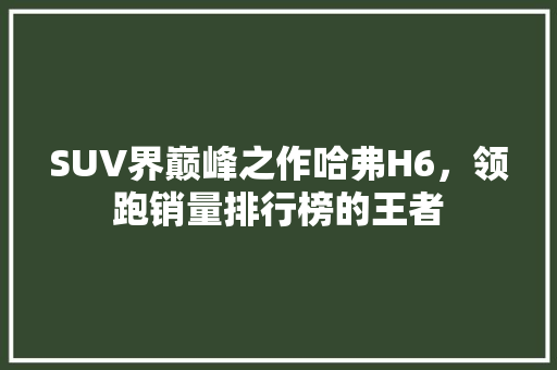 SUV界巅峰之作哈弗H6，领跑销量排行榜的王者  第1张