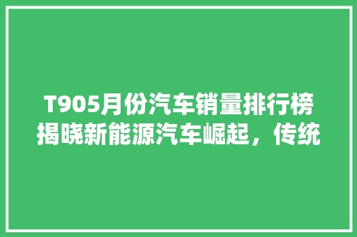 T905月份汽车销量排行榜揭晓新能源汽车崛起，传统车企面临挑战  第1张