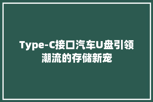 Type-C接口汽车U盘引领潮流的存储新宠