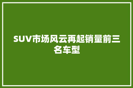 SUV市场风云再起销量前三名车型  第1张