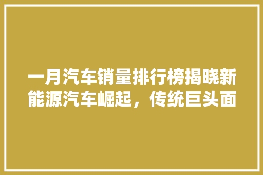 一月汽车销量排行榜揭晓新能源汽车崛起，传统巨头面临挑战  第1张