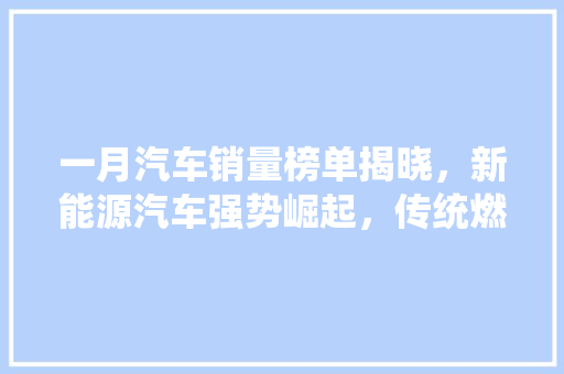 一月汽车销量榜单揭晓，新能源汽车强势崛起，传统燃油车面临挑战  第1张