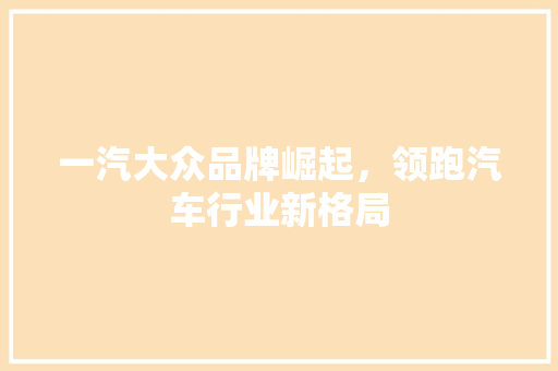 一汽大众品牌崛起，领跑汽车行业新格局