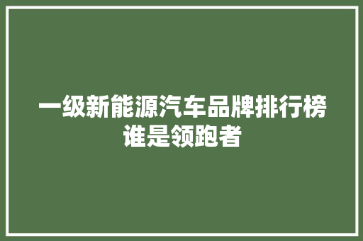 一级新能源汽车品牌排行榜谁是领跑者  第1张