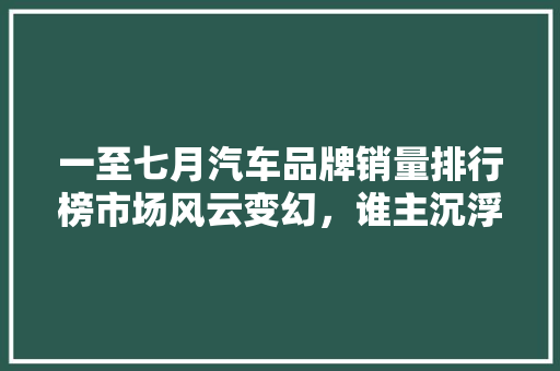 一至七月汽车品牌销量排行榜市场风云变幻，谁主沉浮  第1张